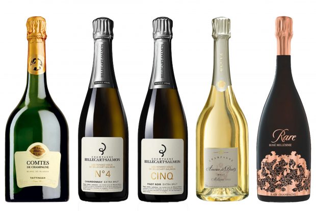 Champagne new releases