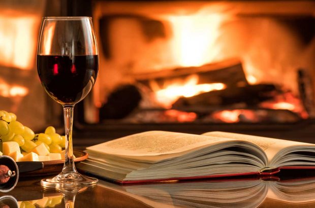 Glass of red wine, book and cheese and grapes in front of a fireplace